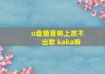 u盘插音响上放不出歌 kaka响